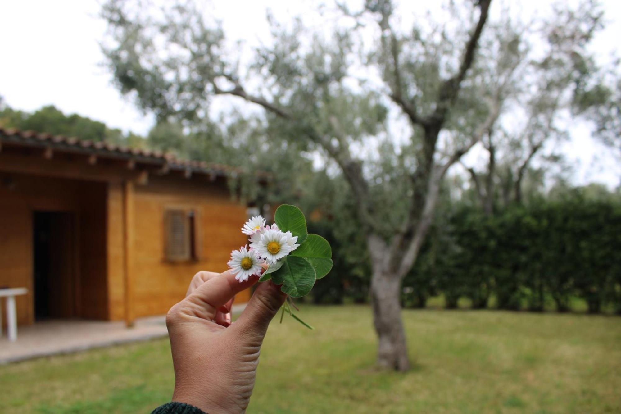 Agriturismo Lu Podere Serra Serra Alimini Exterior foto